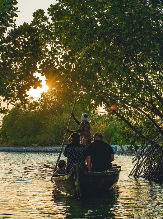 Intro-Backwater